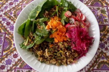 Vegan bowl quinoa, lentilles noires, épinards, carottes, radis, chou rouge