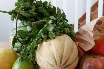 Photo de : melon, pastèque, citrons, herbes fraîches, tomates